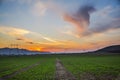 Landscape  at the sunset in the springtime Royalty Free Stock Photo