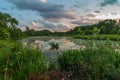 Beautiful view from the marshy coast on the lake in the summer evening Royalty Free Stock Photo