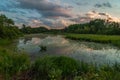 beautiful view from the marshy coast on the lake in the summer evening Royalty Free Stock Photo