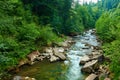 Landscape, beautiful view of mountain river in summer day, fast flowing water and rocks, wild nature Royalty Free Stock Photo