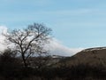 LANDSCAPE ON A BEAUTIFUL WINTER DAY.