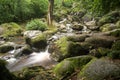 Landscape of Becky Falls waterfall in Dartmoor National Park Eng