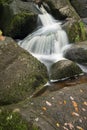 Landscape of Becky Falls waterfall in Dartmoor National Park Eng