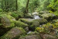 Landscape of Becky Falls waterfall in Dartmoor National Park Eng