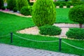 Landscape bed with evergreen thuja bushes in backyard with natural rock mulch. Royalty Free Stock Photo