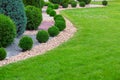 Landscape bed of garden with wave ornamental growth cypress bushes.
