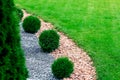 Landscape bed of garden with wave ornamental growth cypress bushes.