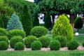 Landscape bed of landscaped park growth by row arborvitae bushes. Royalty Free Stock Photo