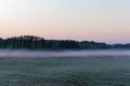 Landscape in the Bialowieza National Park in Poland at the early morning Royalty Free Stock Photo