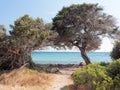 Landscape of Bidda Rosa beach Sardinia Italy Royalty Free Stock Photo