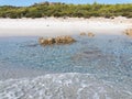 Landscape of Bidda Rosa beach Sardinia Italy Royalty Free Stock Photo