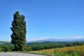 Landscape of Biei, Hokkaido.