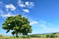 Landscape of Biei, Hokkaido. Royalty Free Stock Photo