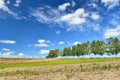 Landscape of Biei, Hokkaido.