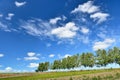 Landscape of Biei, Hokkaido.