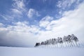 Landscape of Biei Winter in Hokkaido Japan Royalty Free Stock Photo