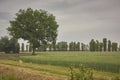 Landscape with Big Tree in the foreground Royalty Free Stock Photo