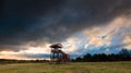 Landscape with big watching tower Royalty Free Stock Photo