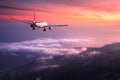 Landscape with big white passenger airplane Royalty Free Stock Photo