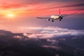 Landscape with big white passenger airplane is flying Royalty Free Stock Photo