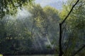 Landscape, Billows of fog or smoke over the water near the fores Royalty Free Stock Photo