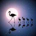 Flamingo family walking on lake on moonlight night