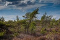 Landscape in Black Moor wetland in Rhon, Germany