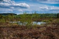 Landscape in Black Moor wetland in Rhon, Germany
