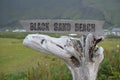 Landscape of Black Sand Beach entrance sign in Vik Iceland