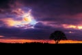 Full moon and silhouette of tree on colorful night sky. Royalty Free Stock Photo