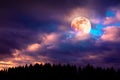 Silhouette of trees and full moon on colorful night sky. Royalty Free Stock Photo