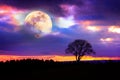 Silhouette of trees and full moon on colorful night sky. Royalty Free Stock Photo