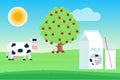 Landscape with black white spotted cow stand and chew with grass in its mouth near fruit tree, pack of milk and glass of milk flat Royalty Free Stock Photo