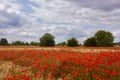 Landscape of Blankenburg Berlin