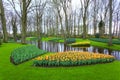 Landscape with blooming beautiful flowers and water stream in Keukenhof