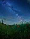 Landscape with blooming fields in summer night with the Milky Way