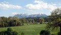 Landscape with blossoming alpine meadows with green grass and mountains with snow caps at far away