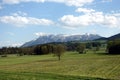 Landscape with blossoming alpine meadows with green grass and mountains with snow caps at far away