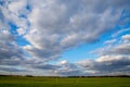 Landscape with blue cloudy sky, cereal field and trees Royalty Free Stock Photo