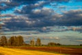 Landscape with blue cloudy sky, cereal field and trees Royalty Free Stock Photo