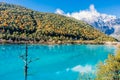 Landscape of Blue Moon Valley in Jade Dragon Snow Mountain, Lijiang, Yunnan, China Royalty Free Stock Photo