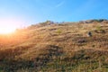 Landscape with blue sky and autumn trees and brush upon grassland hills. Royalty Free Stock Photo