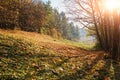 Landscape with blue sky and autumn wood with trees and brush upon grassland hill. Royalty Free Stock Photo