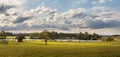 Landscape with blue sky and clouds - panorama of rural countryside with pond Royalty Free Stock Photo