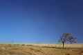 Landscape with blue sky Royalty Free Stock Photo