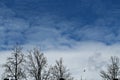 Blue sky with white clouds, the silhouette of trees without leaves, in the daytime. Royalty Free Stock Photo