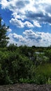Landscape. Blue sky with white clouds over a pond and forest Royalty Free Stock Photo