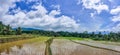 Landscape Blue sky, white clouds, rice fields Royalty Free Stock Photo