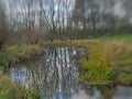 Landscape blur of creek and trees Royalty Free Stock Photo