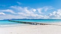 Landscape with boardwalk in Platja de Muro, Alcudia